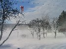 Blizzard