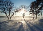 Blizzard