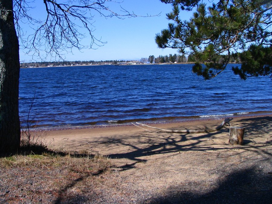 Harbor Island Walk