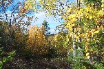 trail