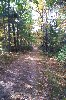 trail