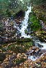 Falls