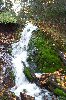 Falls