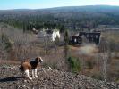 Rock Hound