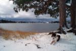 East Beach