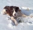 Snow