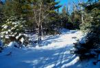 Trail