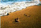 Footprints